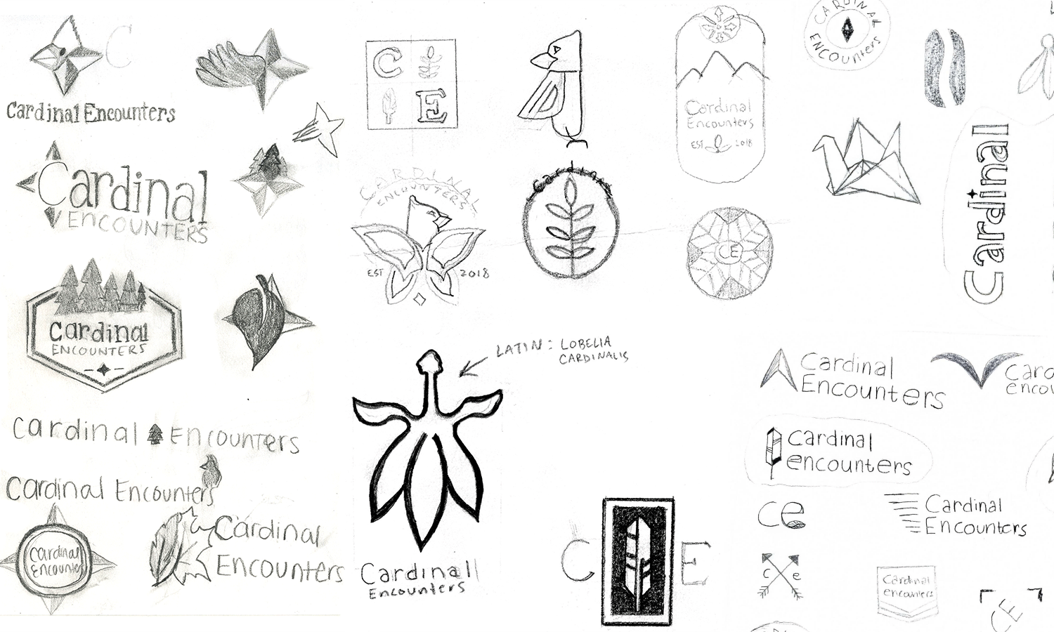 Cardinal Encounters Logo Sketches